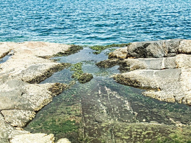 PEDRAS MAR