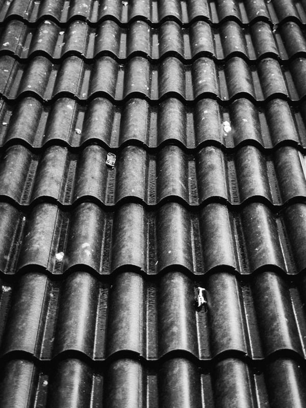 WET ROOF