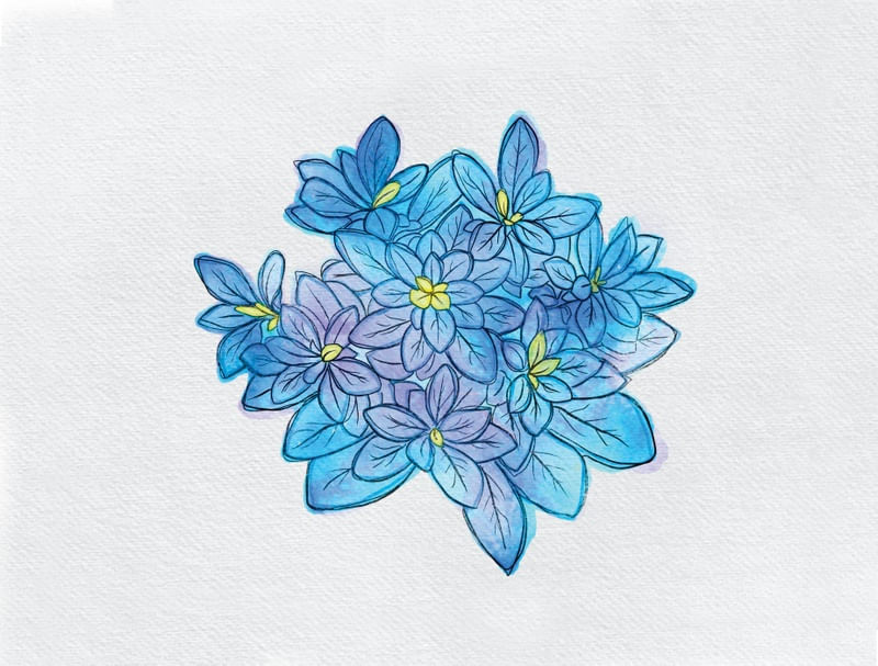 HORTENSIAS EM AQUARELA