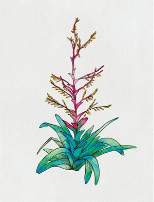 BROMELIA IMPERIAL EM AQUARELA