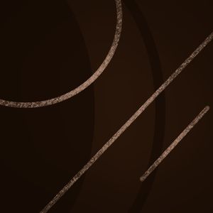 FORMAS 13