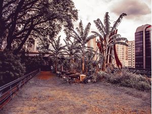 VERDE E LARANJA NOS JARDINS