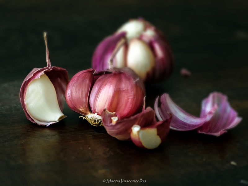 SERIE GOURMET COLOR