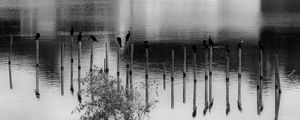 PANORAMA BW LAGOA