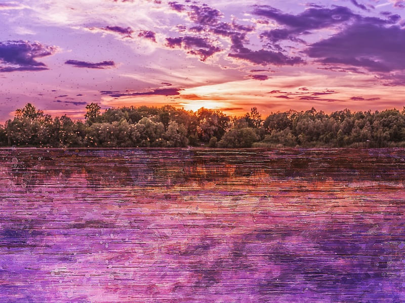 PURPLE SKY