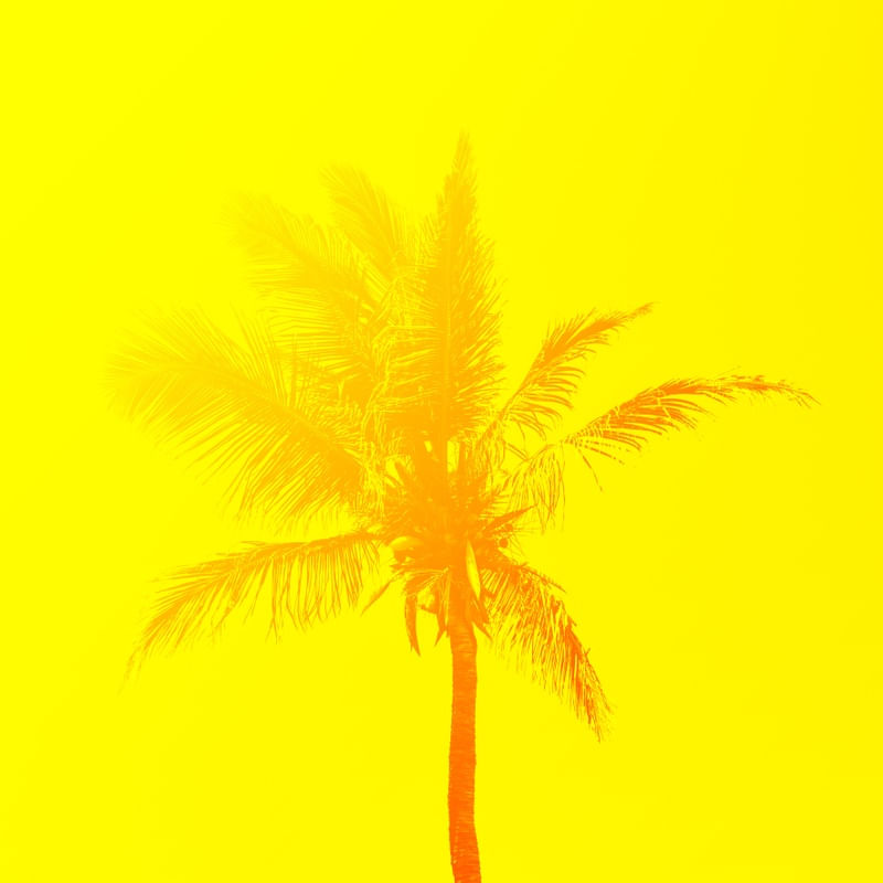 COQUEIRO TROPICAL
