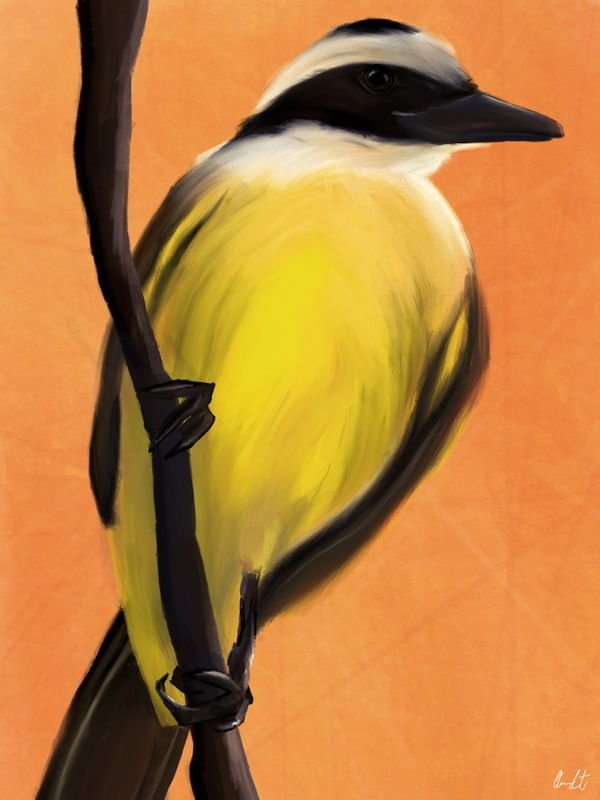 BEM TE VI AMARELO