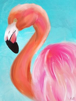 ROSTO DE FLAMINGO
