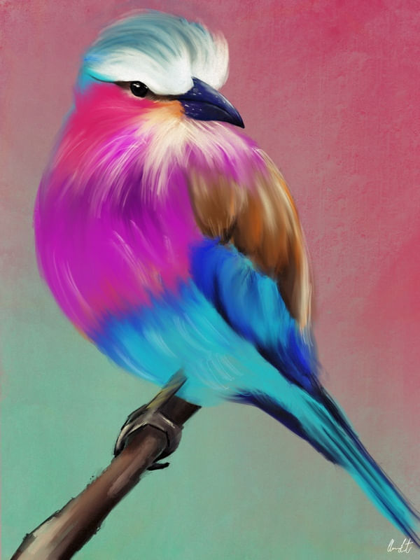 PÁSSARO COLORIDO