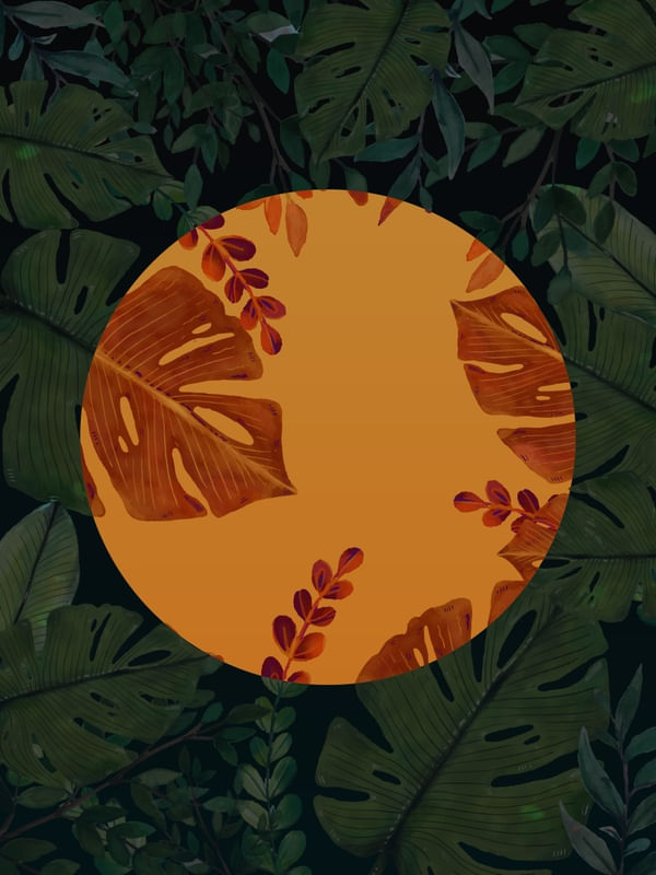 FOREST 002