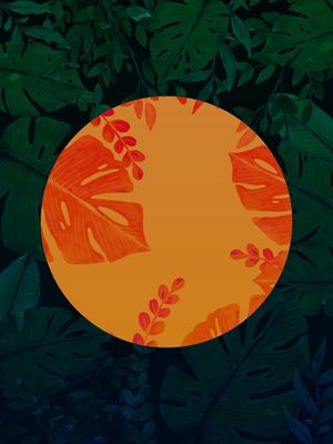 FOREST 003