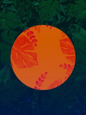 FOREST 004