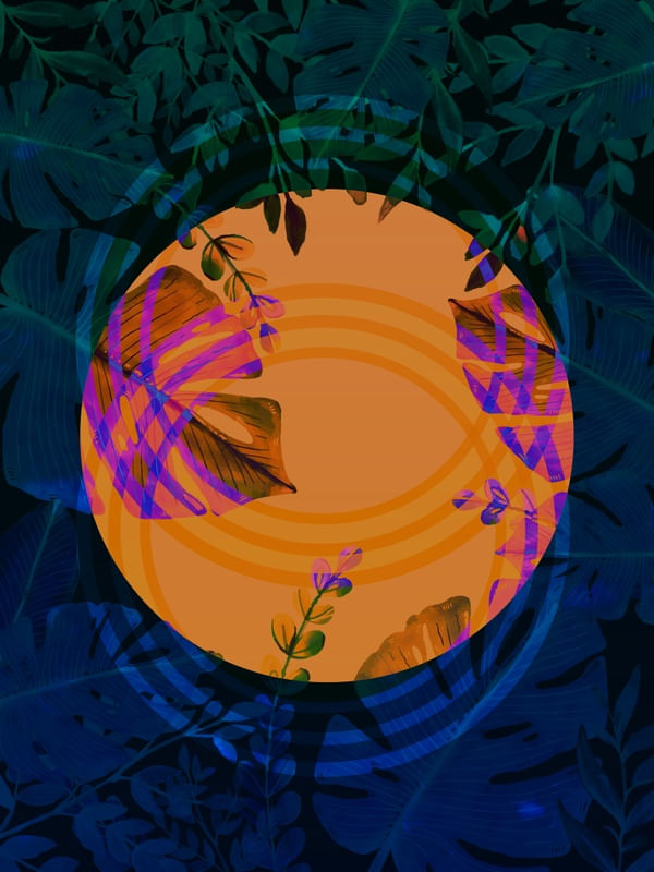FOREST 005
