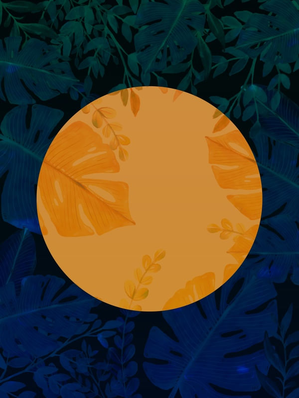 FOREST 006