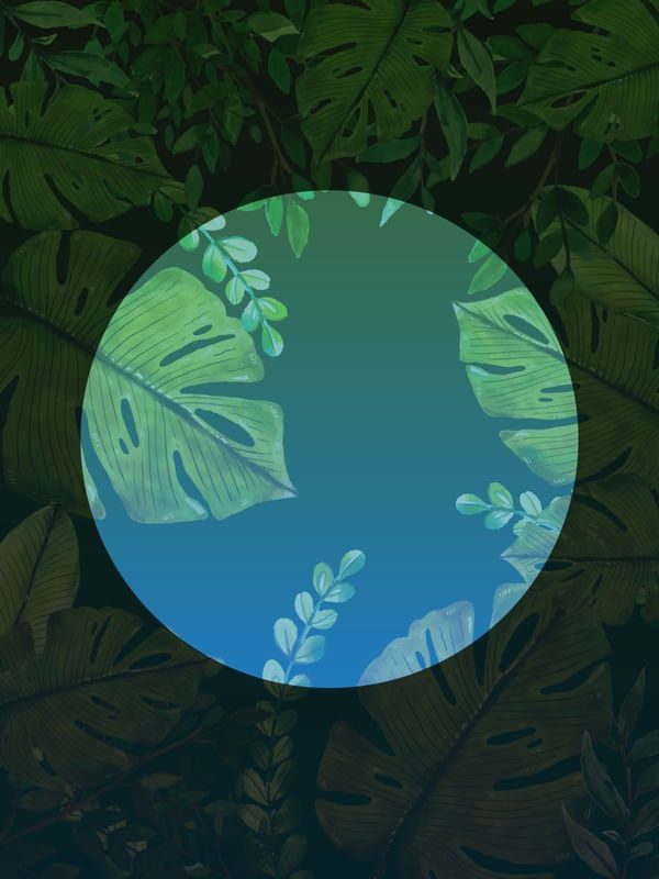 FOREST 009