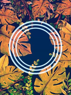 FOREST 012