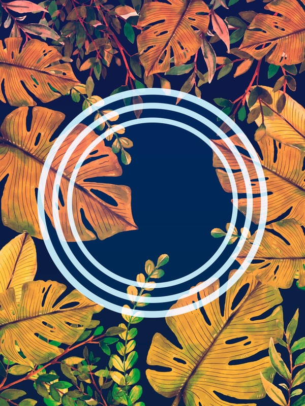 FOREST 012