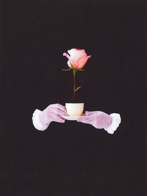 COFFEE & FLOWERS