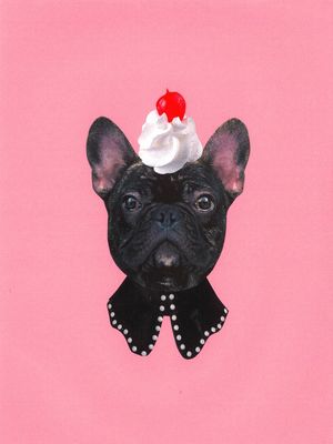 DOG ICE CREAM