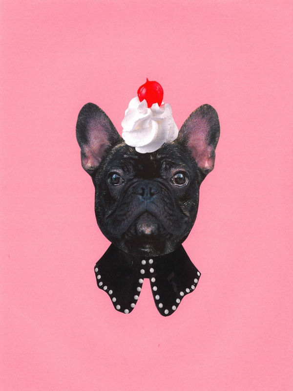 DOG ICE CREAM