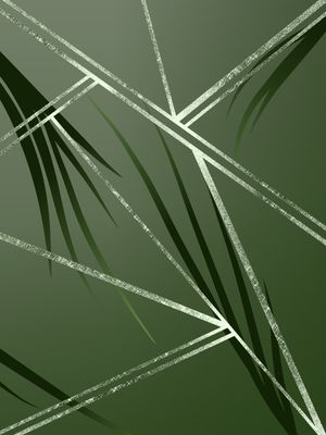 BRILHO DA NATUREZA