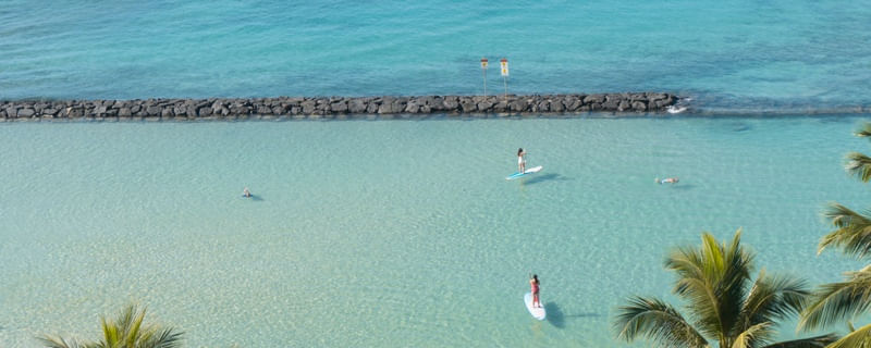 ALOHA UP PANORAMA