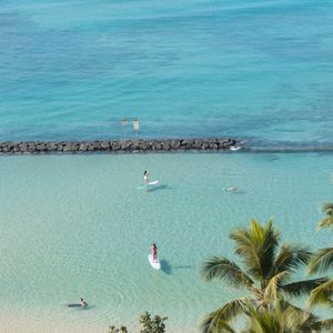 ALOHA UP 1X1