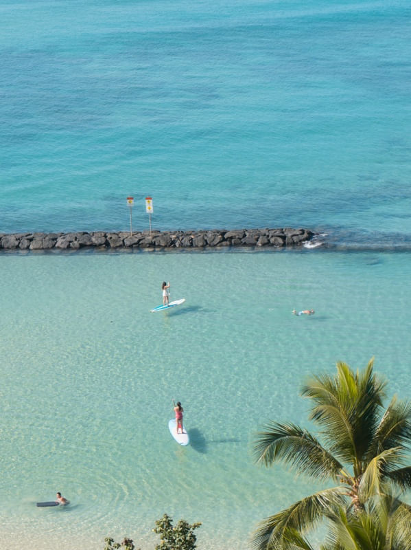 ALOHA UP VERTICAL