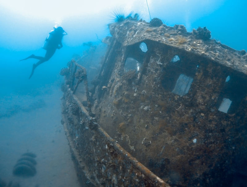 ANTHONY'S WRECK