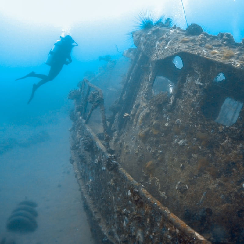 ANTHONY'S WRECK 1X1