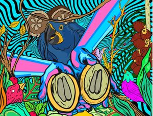 CERRADO EM CORES