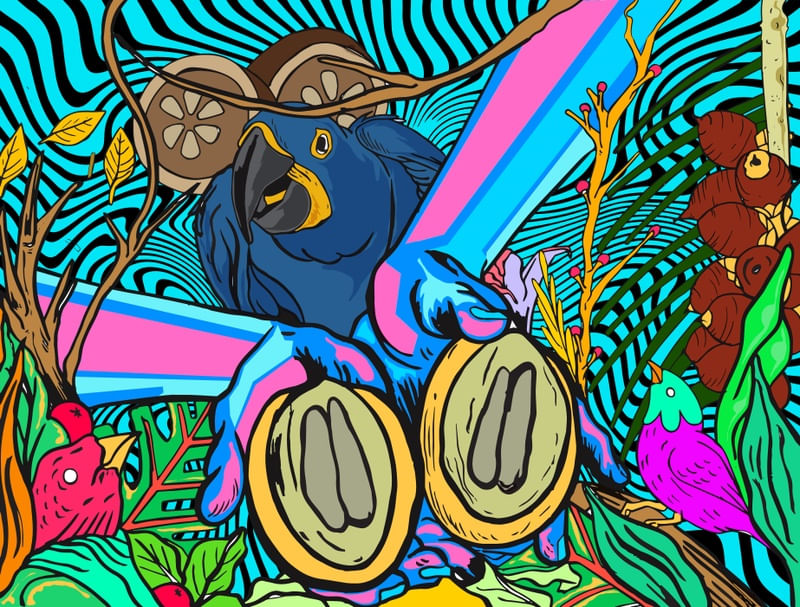 CERRADO EM CORES