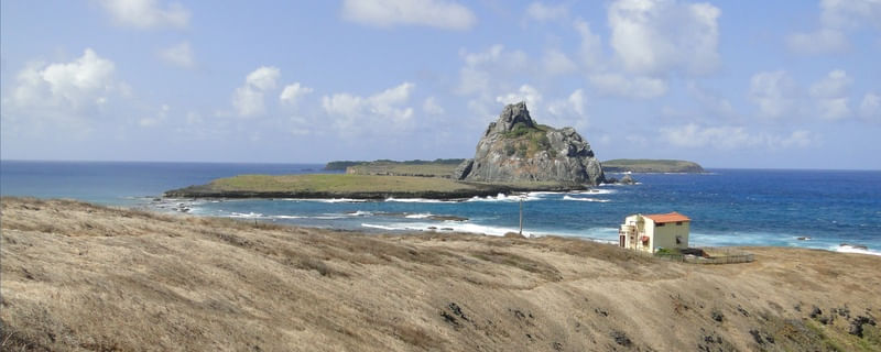 CASINHA NORONHA