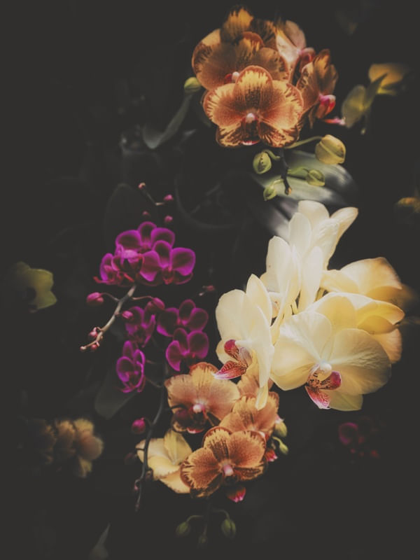 BUQUÊS DE FLORES