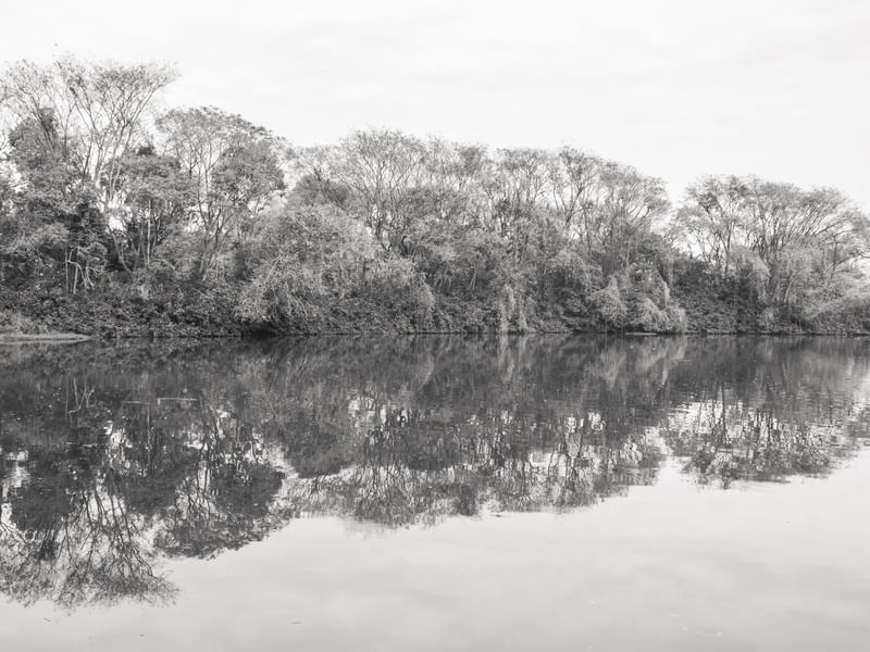IBIRAPUERA LAGO
