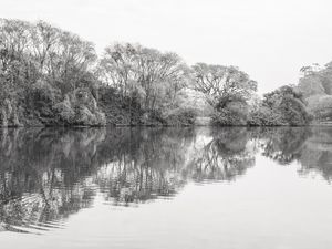 IBIRAPUERA LAGO 2