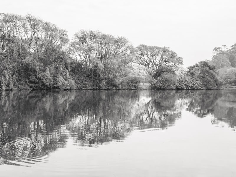 IBIRAPUERA LAGO 2