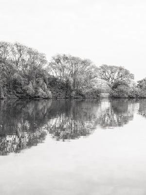 IBIRAPUERA LAGO 3