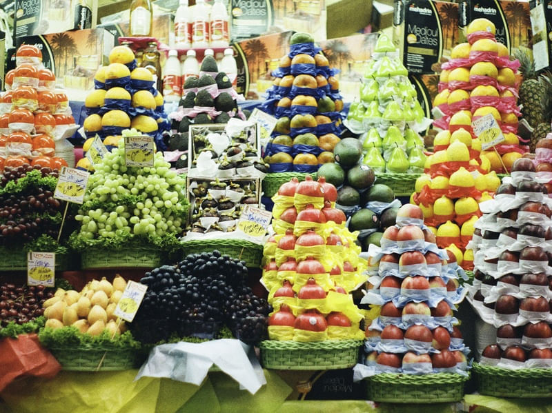 AS CORES DA NATUREZA