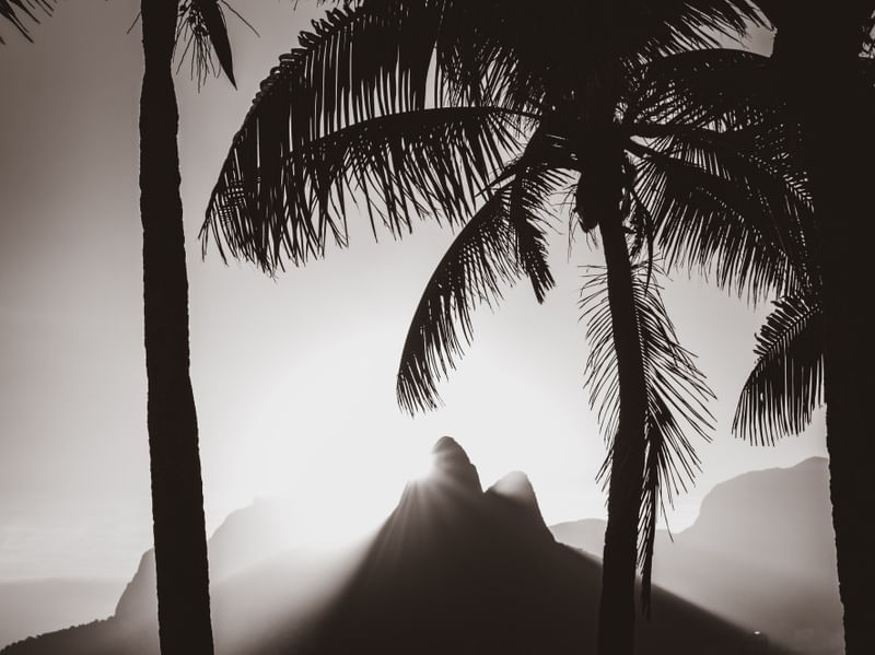 IPANEMA STAR PRETO E BRANCO