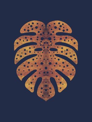 MONSTERA GOLD 010