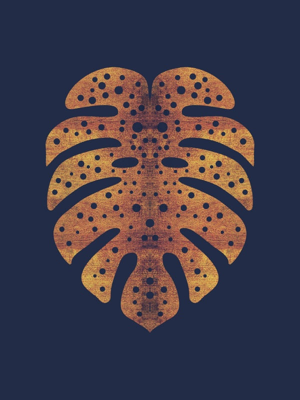 MONSTERA GOLD 010