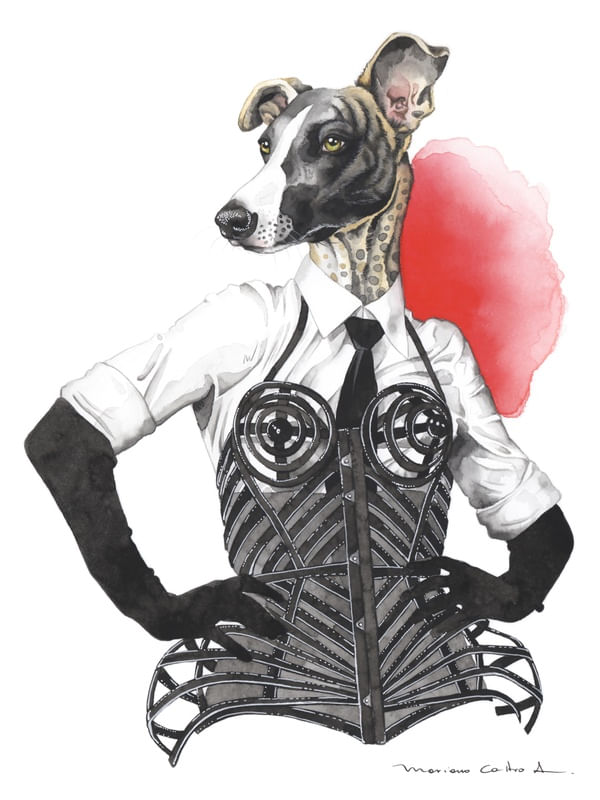 GALGO MADONNA
