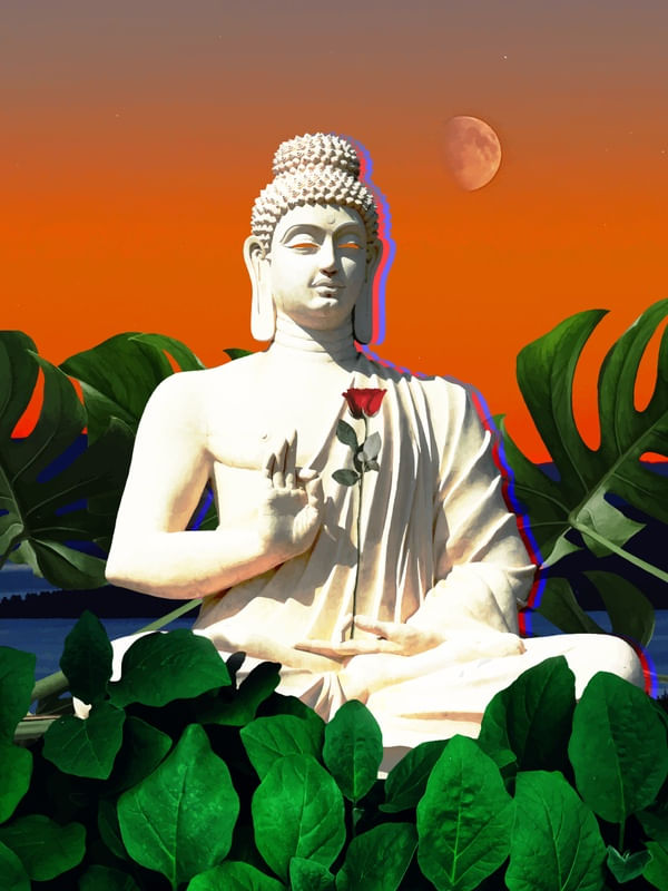 BHUDDA TROPICAL