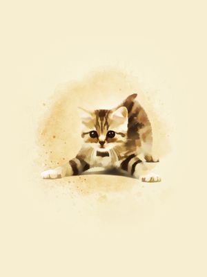 GATO BEBÊ # 1