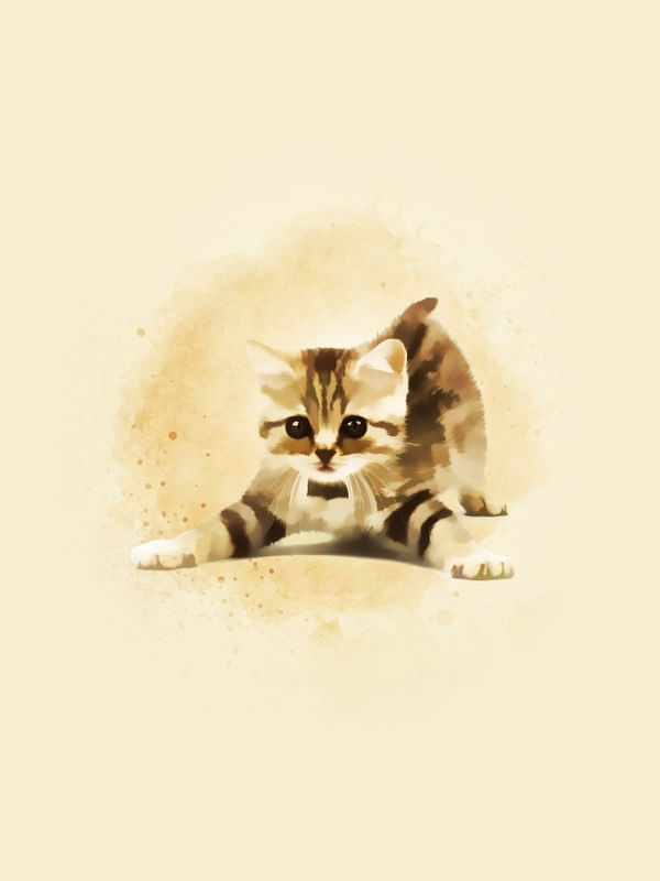 GATO BEBÊ # 1