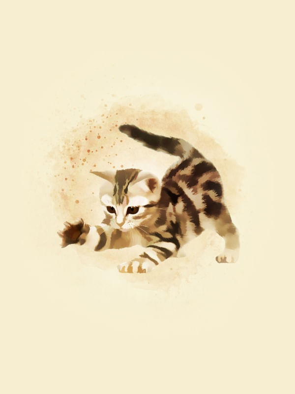 GATO BEBÊ # 2