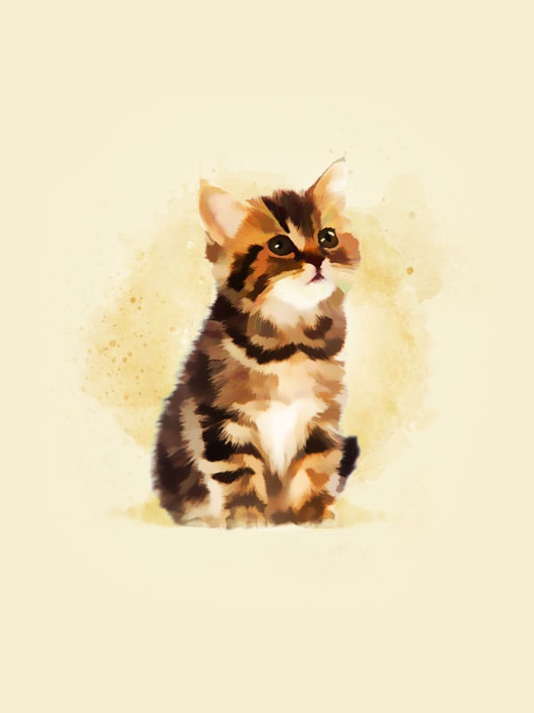 GATO BEBÊ # 3
