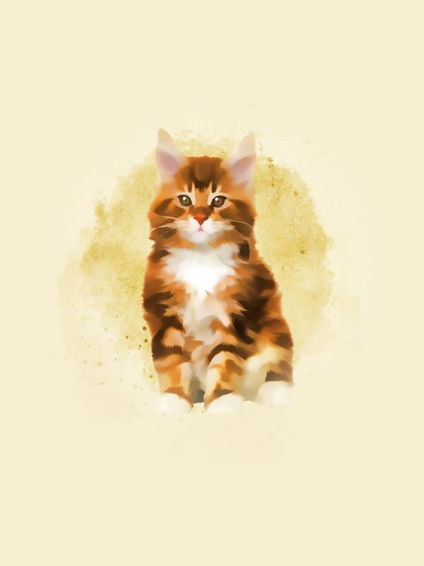 GATO BEBÊ # 4