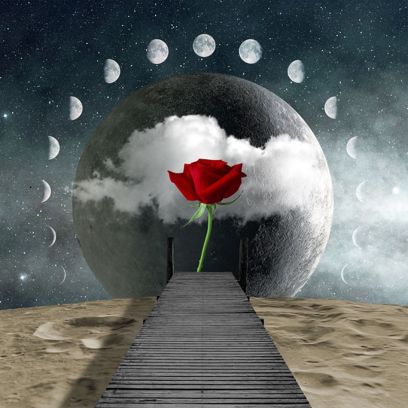 MOON IN LOVE